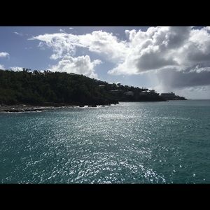 Meet your Posher, Mollie